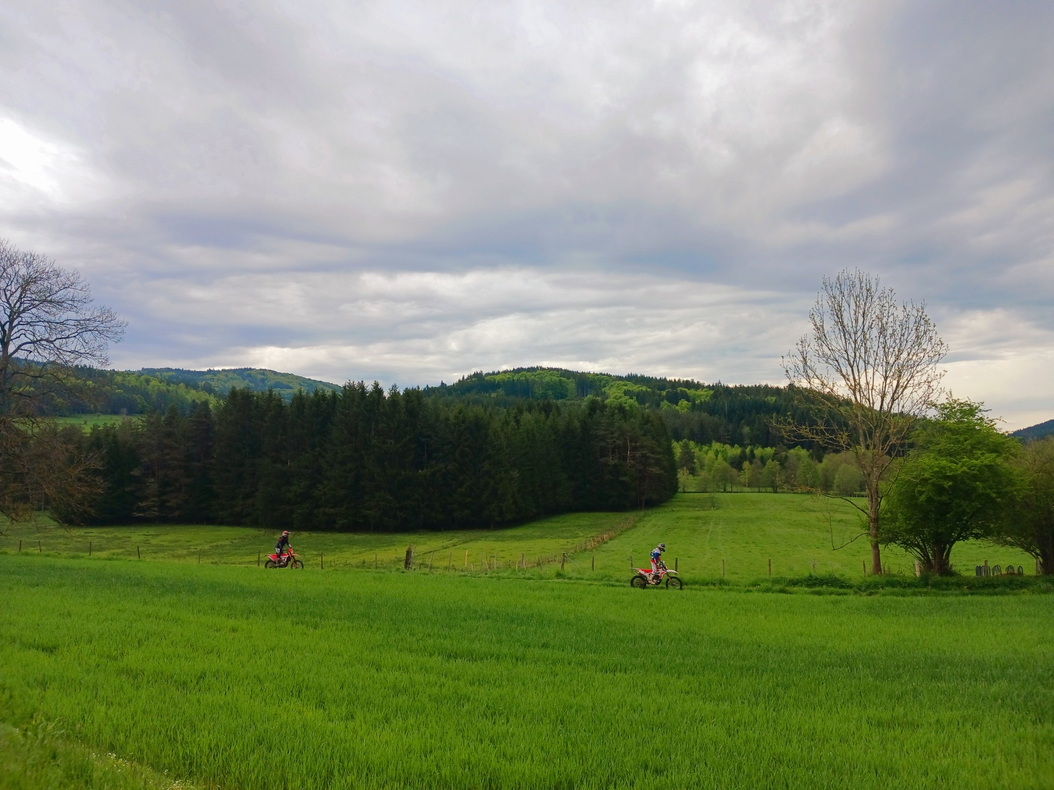 recos25 8